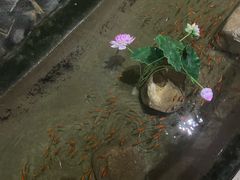-哈尔滨太平湖温泉酒店