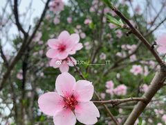 -云水涧亲子度假酒店