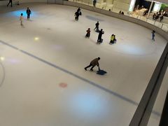 -TheRink大零溜冰场(IFS国金中心店)