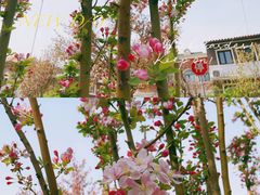 -睦南公园