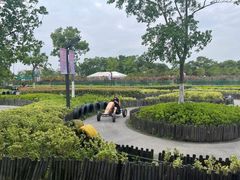 -季高兔窝窝亲子园(上海薰衣草公园店)