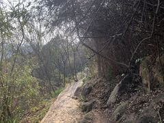 -上海佘山国家森林公园天马山园