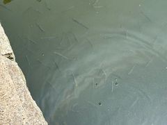 -昆山城市生态森林公园