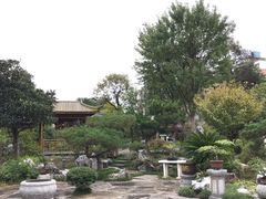-宝鸡植物园