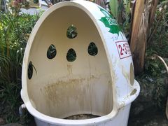 -100蛋泥浆浴