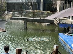 -上海怡沁园度假酒店