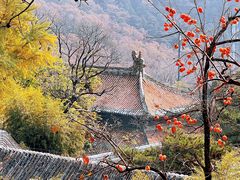 -潭柘寺景区