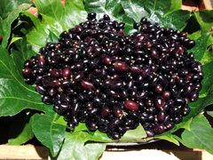 -嘻哈壹笑堂相声茶馆(大儒巷店)