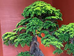 -阿伟海鲜楼·福建菜(延寿店)