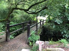 -古堰画乡景区