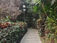 -莲花山公园