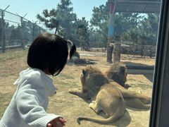 -西霞口神雕山野生动物世界