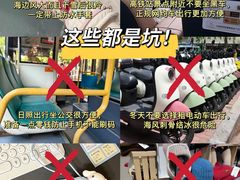 -日照海滨国家森林公园