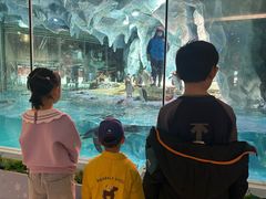 -帝企鹅自助餐厅•儿童岛•真企鹅(长隆企鹅酒店)