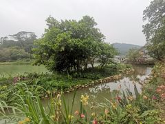 -广东温泉宾馆