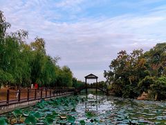 -艾溪湖湿地公园