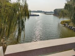 -大兴滨河森林公园