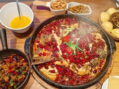 -老板恋上鱼(恒隆广场店)