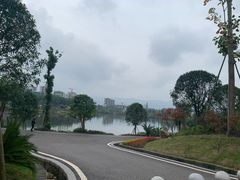 -枫香湖儿童公园