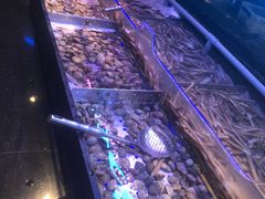 -盛江山自助料理(奥莱锦辉购物广场店)