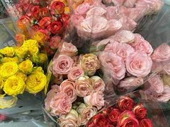 -鹿岛会员店 (龙湖三千集天街店)