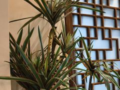 -梁溪河畔·吉府花园(南长街南下塘店)