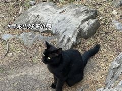 -云龙山