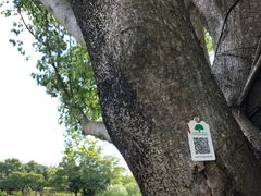 -福田红树林生态公园