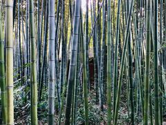 -苏州河梦清园环保主题公园