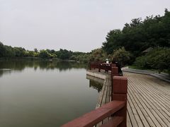-塘沽森林公园