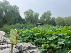 -太阳宫公园