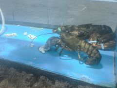 -郑庄脂渣海鲜楼(九水路店)
