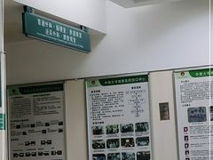 -中南大学湘雅医院