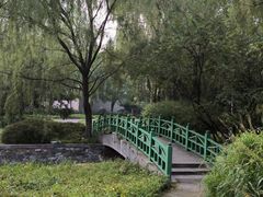 -望湖公园