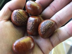 糖炒栗子-德州小高糖炒栗子(十三局店)