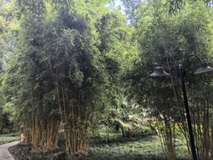 -成都蓝城悦杏温泉美食酒店(宽窄巷子店)