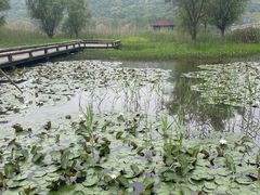 -长广溪湿地公园
