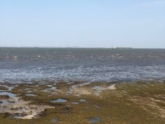 -上海吴淞炮台湾国家湿地公园