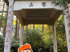 -亭林公园