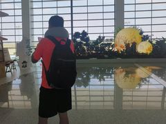 -郑州新郑国际机场-T2航站楼