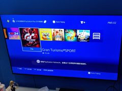 -浣熊部落ps4 ps5 switch 电玩(茶店子店)