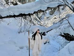 -峡谷浮石林景区