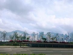 -Wooloomooloo Steakhouse(尖沙咀中心店)