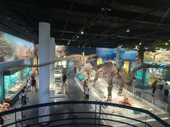 -国家自然博物馆