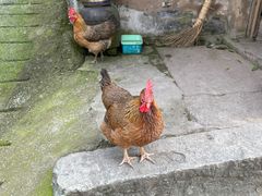 -东钱湖旅游度假区