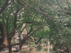 -小洲村