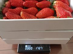 -上海龙吴水胜海发市场