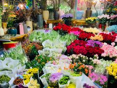-曲阳花鸟市场(曲阳路店)