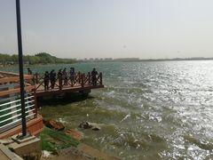 -丁香湖公园