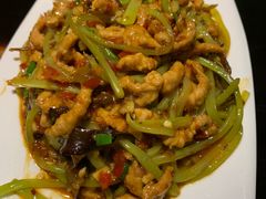 -陈麻婆豆腐总店